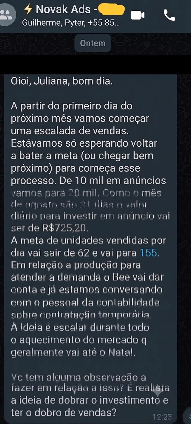 Print de WhatsApp: Novak Ads planeja dobrar o investimento em anúncios de R$10 mil para R$20 mil e elevar a meta de vendas de 62 para 155 unidades por dia até o Natal.